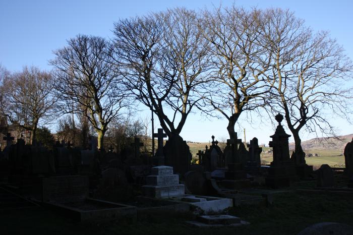 Silhouettes at Sowerby - by Catherine Chatham