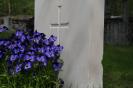 Violas in Norway by Hans-J�rgen Wallin Weihe 
