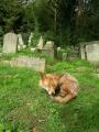 Caught napping