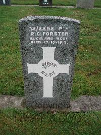 Hamilton East Public Cemetery - Forster, Robson Cameron