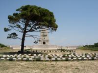 Lone Pine Memorial - Critcher, Thomas Alfred