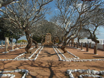 Skeletal trees at Pemba Cemetery - Keith Patience