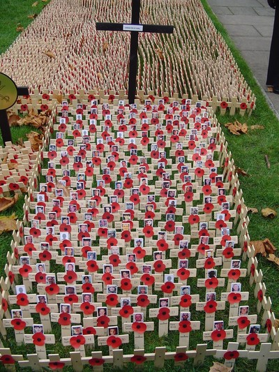 Iraq casualties at the field of Honour at Westminster