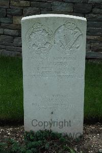 Sarralbe Military Cemetery - Higgins, Walter