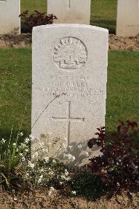 Serre Road Cemetery No.2 - Buckley, M