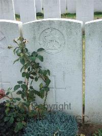 Serre Road Cemetery No.2 - Cornelius, William