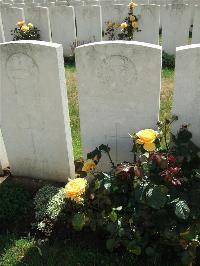 Serre Road Cemetery No.2 - Davies, William John