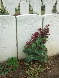 Serre Road Cemetery No.2 - Drum, Michael