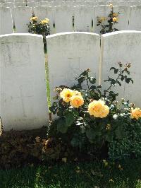 Serre Road Cemetery No.2 - Hine, Fred