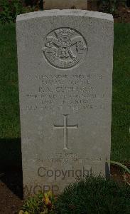 St. Charles De Percy War Cemetery - Alexander, Philip