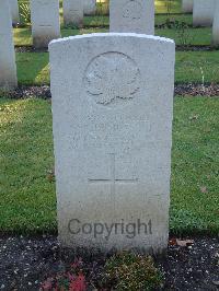 Brookwood Military Cemetery - Demusik, Roman