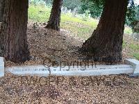 Brookwood Military Cemetery - Gould, James Robertson Sabiston