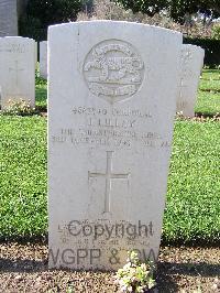 Minturno War Cemetery - Lilley, John