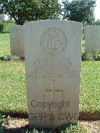 Minturno War Cemetery - Marchant, Frank George