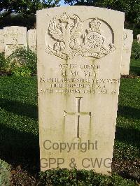 Minturno War Cemetery - McVey, Michael