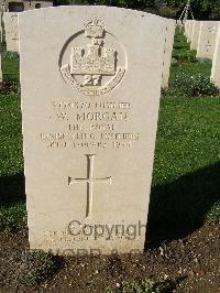 Minturno War Cemetery - Morgan, William