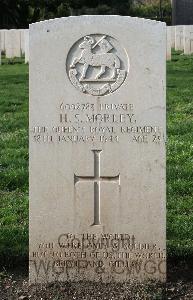 Minturno War Cemetery - Morley, Herbert Stanley