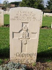 Minturno War Cemetery - Murray, William Faulds