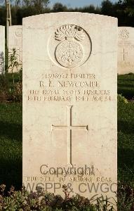 Minturno War Cemetery - Newcombe, Robert Edward