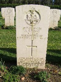 Minturno War Cemetery - Nobbs, Albert Ernest