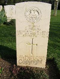 Minturno War Cemetery - Parsons, Glynne