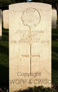 Minturno War Cemetery - Riley, Frank