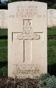 Minturno War Cemetery - Walsh, Robert Henry