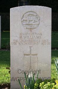 Minturno War Cemetery - Williams, Harold