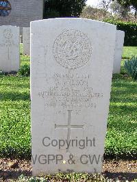 Minturno War Cemetery - Wilson, George