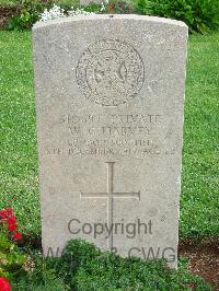 Jerusalem War Cemetery - Harvey, Wilfred George