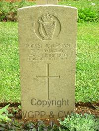 Jerusalem War Cemetery - Longley, F C