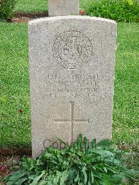 Jerusalem War Cemetery - McMaster, W