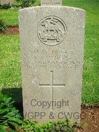 Jerusalem War Cemetery - Osborne, Albert Charles