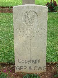 Jerusalem War Cemetery - Ouzman, R A J