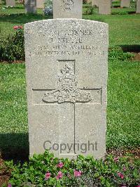 Jerusalem War Cemetery - Steele, J