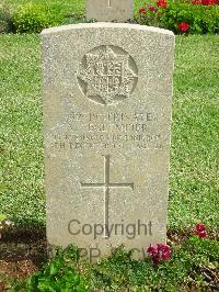 Jerusalem War Cemetery - Tegetmeier, Alan