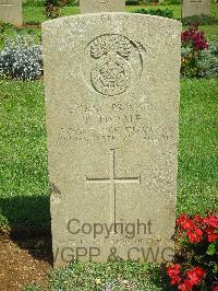 Jerusalem War Cemetery - Tisdale, T