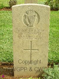 Jerusalem War Cemetery - Warner, A G