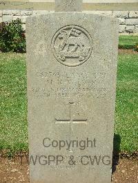 Jerusalem War Cemetery - Wilson, Hedley Norman