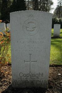 Heverlee War Cemetery - Harrison, Tom Charles Raymond