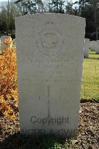 Heverlee War Cemetery - Moyes, Robert