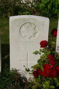 Dozinghem Military Cemetery - Collins, T