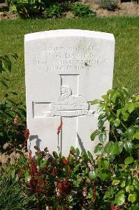 Dozinghem Military Cemetery - Davies, W G