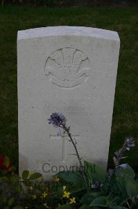 Dozinghem Military Cemetery - Davies, William John