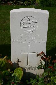 Dozinghem Military Cemetery - Gill, R F