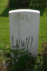 Dozinghem Military Cemetery - Loubser, A J