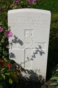 Dozinghem Military Cemetery - Matthewson, William Henry