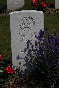 Bertenacre Military Cemetery Fletre - Dalton, Harry