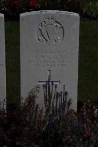 Bertenacre Military Cemetery Fletre - Walker, Robert