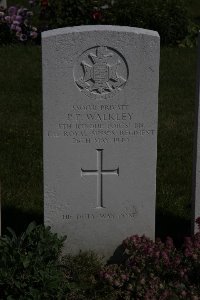 Bertenacre Military Cemetery Fletre - Walkley, Percy Philip